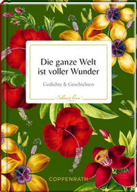  Die ganze Welt ist voller Wunder | Buch |  Sack Fachmedien