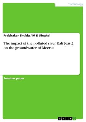 Singhal / Shukla |  The impact of the polluted river Kali (east) on the groundwater of Meerut | Buch |  Sack Fachmedien