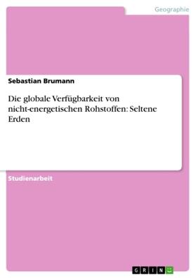 Brumann |  Die globale Verfügbarkeit von nicht-energetischen Rohstoffen: Seltene Erden | Buch |  Sack Fachmedien