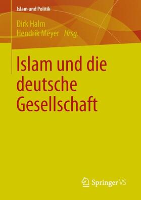 Meyer / Halm |  Islam und die deutsche Gesellschaft | Buch |  Sack Fachmedien