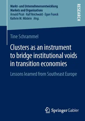 Schrammel |  Clusters as an instrument to bridge institutional voids in transition economies | Buch |  Sack Fachmedien