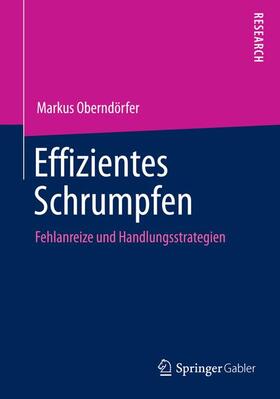 Oberndörfer |  Effizientes Schrumpfen | Buch |  Sack Fachmedien