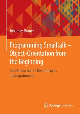 Brauer |  Programming Smalltalk ¿ Object-Orientation from the Beginning | Buch |  Sack Fachmedien