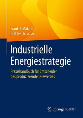 Tesch / Matzen |  Industrielle Energiestrategie | Buch |  Sack Fachmedien