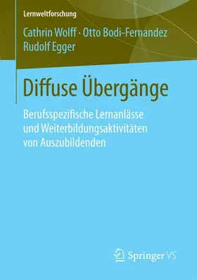 Wolff / Egger / Bodi-Fernandez |  Diffuse Übergänge | Buch |  Sack Fachmedien