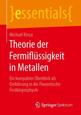 Kinza |  Theorie der Fermiflüssigkeit in Metallen | Buch |  Sack Fachmedien