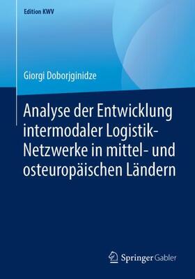 Doborjginidze |  Analyse der Entwicklung intermodaler Logistik-Netzwerke in mittel- und osteuropäischen Ländern | Buch |  Sack Fachmedien