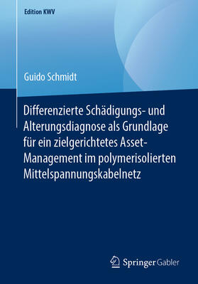 Schmidt |  Differenzierte Schädigungs- und Alterungsdiagnose als Grundlage für ein zielgerichtetes Asset-Management im polymerisolierten Mittelspannungskabelnetz | eBook | Sack Fachmedien