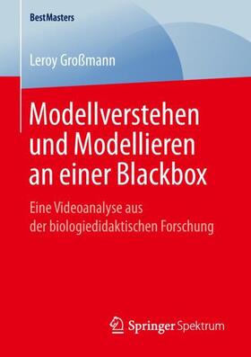 Großmann |  Modellverstehen und Modellieren an einer Blackbox | Buch |  Sack Fachmedien