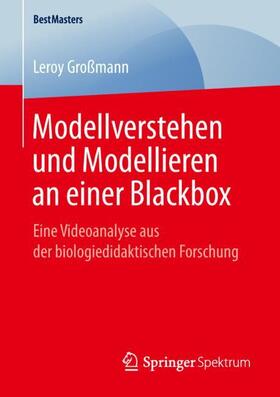 Großmann | Modellverstehen und Modellieren an einer Blackbox | Buch | 978-3-658-25281-6 | sack.de