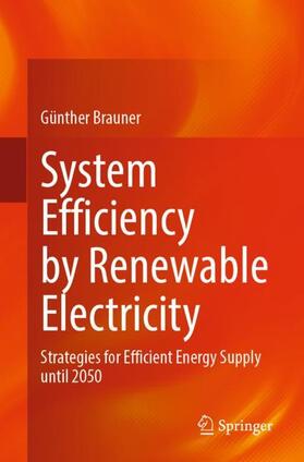Brauner |  System Efficiency by Renewable Electricity | Buch |  Sack Fachmedien