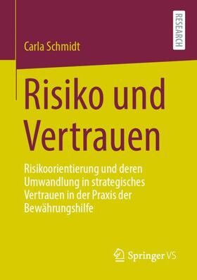 Schmidt |  Risiko und Vertrauen | Buch |  Sack Fachmedien