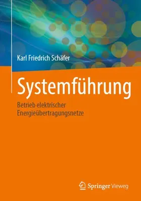 Schäfer |  Systemführung | Buch |  Sack Fachmedien