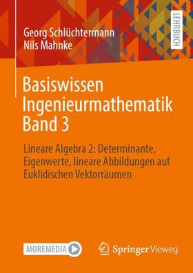 Mahnke / Schlüchtermann |  Basiswissen Ingenieurmathematik Band 3 | Buch |  Sack Fachmedien