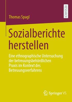 Spagl |  Sozialberichte herstellen | Buch |  Sack Fachmedien