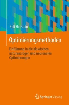 Hollstein |  Optimierungsmethoden | Buch |  Sack Fachmedien