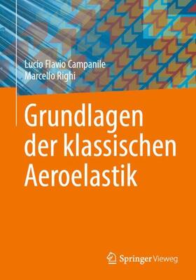 Righi / Campanile |  Grundlagen der klassischen Aeroelastik | Buch |  Sack Fachmedien