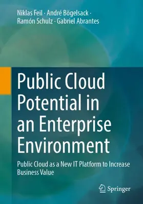 Feil / Abrantes / Bögelsack |  Public Cloud Potential in an Enterprise Environment | Buch |  Sack Fachmedien