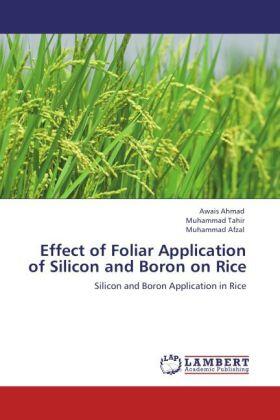 Ahmad / Tahir / Afzal |  Effect of Foliar Application of Silicon and Boron on Rice | Buch |  Sack Fachmedien