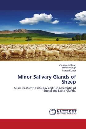 Singh / Kumar |  Minor Salivary Glands of Sheep | Buch |  Sack Fachmedien