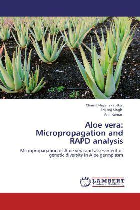 Nayanakantha / Singh / Kumar |  Aloe vera: Micropropagation and RAPD analysis | Buch |  Sack Fachmedien