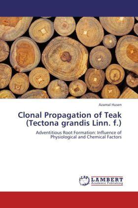 Husen |  Clonal Propagation of Teak (Tectona grandis Linn. f.) | Buch |  Sack Fachmedien