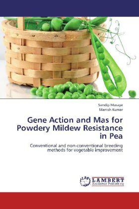 Masaye / Kumar |  Gene Action and Mas for Powdery Mildew Resistance in Pea | Buch |  Sack Fachmedien