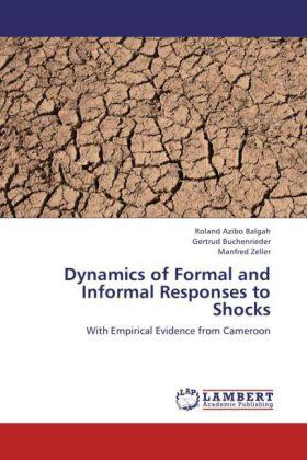 Balgah / Buchenrieder / Zeller |  Dynamics of Formal and Informal Responses to Shocks | Buch |  Sack Fachmedien