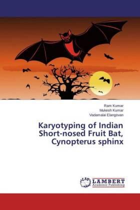 Kumar / Elangovan |  Karyotyping of Indian Short-nosed Fruit Bat, Cynopterus sphinx | Buch |  Sack Fachmedien