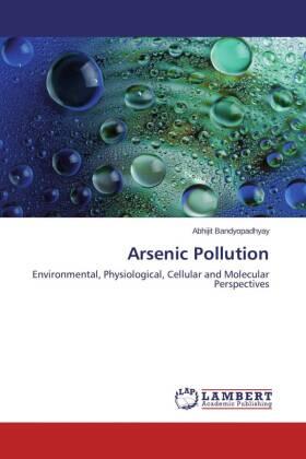 Bandyopadhyay |  Arsenic Pollution | Buch |  Sack Fachmedien