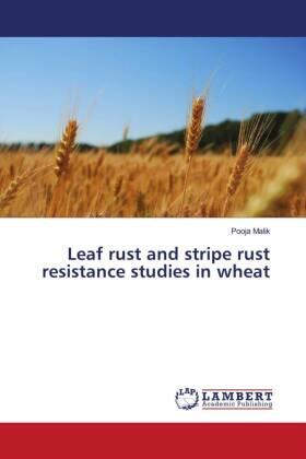 Malik |  Leaf rust and stripe rust resistance studies in wheat | Buch |  Sack Fachmedien