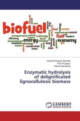 Przybysz (Buza¿a) / Przybysz / Kalinowska |  Enzymatic hydrolysis of delignificated lignocellulosic biomass | Buch |  Sack Fachmedien
