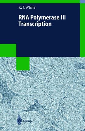 White |  RNA Polymerase III Transcription | Buch |  Sack Fachmedien