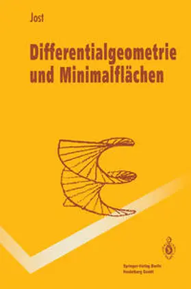 Jost |  Differentialgeometrie und Minimalflächen | eBook | Sack Fachmedien