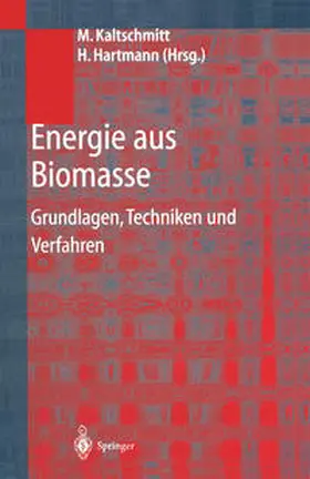 Kaltschmitt / Hartmann / Hofbauer |  Energie aus Biomasse | eBook | Sack Fachmedien