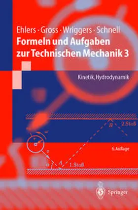 Gross / Ehlers / Wriggers |  Formeln und Aufgaben zur Technischen Mechanik 3 | eBook | Sack Fachmedien