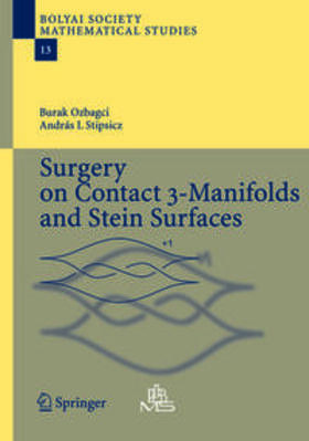 Ozbagci / Stipsicz |  Surgery on Contact 3-Manifolds and Stein Surfaces | eBook | Sack Fachmedien