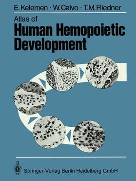 Kelemen / Fliedner / Calvo |  Atlas of Human Hemopoietic Development | Buch |  Sack Fachmedien