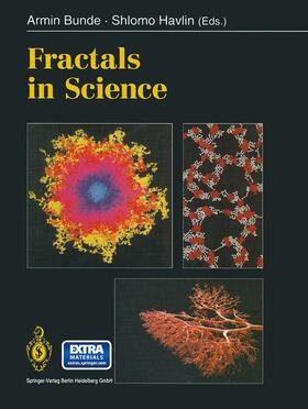 Havlin / Bunde |  Fractals in Science | Buch |  Sack Fachmedien