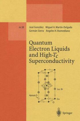 Gonzalez / Vozmediano / Martin-Delgado |  Quantum Electron Liquids and High-Tc Superconductivity | Buch |  Sack Fachmedien