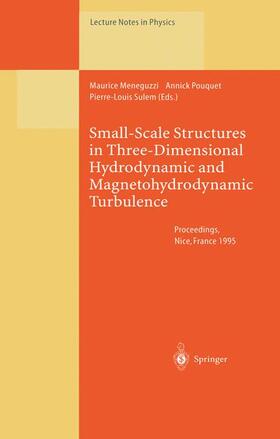 Meneguzzi / Sulem / Pouquet |  Small-Scale Structures in Three-Dimensional Hydrodynamic and Magnetohydrodynamic Turbulence | Buch |  Sack Fachmedien