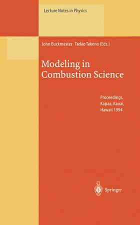 Takeno / Buckmaster |  Modeling in Combustion Science | Buch |  Sack Fachmedien