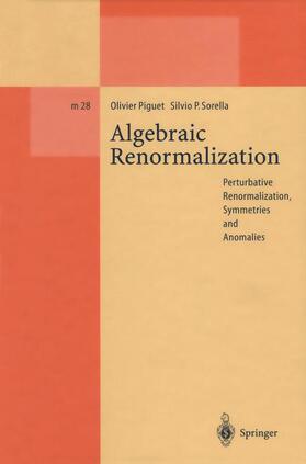 Sorella / Piguet |  Algebraic Renormalization | Buch |  Sack Fachmedien