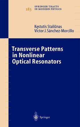 Sánchez-Morcillo / Staliunas |  Transverse Patterns in Nonlinear Optical Resonators | Buch |  Sack Fachmedien