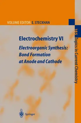 Steckhan |  Electrochemistry VI | Buch |  Sack Fachmedien