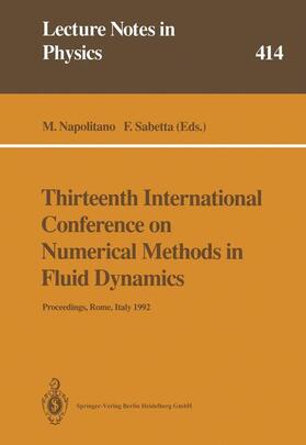 Sabetta / Napolitano |  Thirteenth International Conference on Numerical Methods in Fluid Dynamics | Buch |  Sack Fachmedien