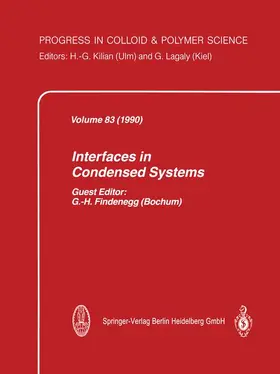  Interfaces in Condensed Systems | Buch |  Sack Fachmedien