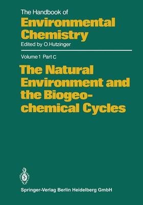  The Natural Environment and the Biogeochemical Cycles | Buch |  Sack Fachmedien