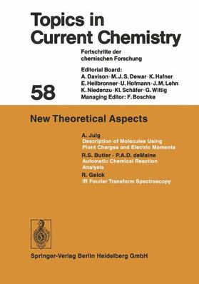 Houk / Wong / Hunter |  New Theoretical Aspects | Buch |  Sack Fachmedien