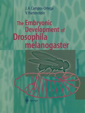 Hartenstein / Campos-Ortega |  The Embryonic Development of Drosophila melanogaster | Buch |  Sack Fachmedien